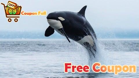 100% Free Coupon Formation Orcaflex pour débutants/étudiants/Ingénieurs