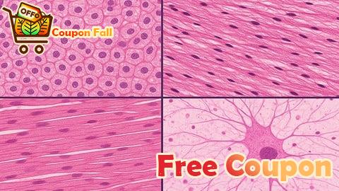 100% Free Coupon Mastering Histology: Microscopic Anatomy Made easy