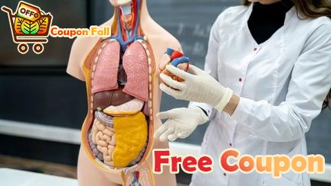 100% Free Coupon Medical Coding Part 2: CPT Coding & Medical Billing Basics