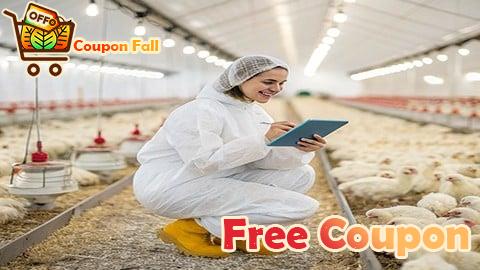 100% Free Coupon Profitable Broiler Farming: Step-by-Step Guide
